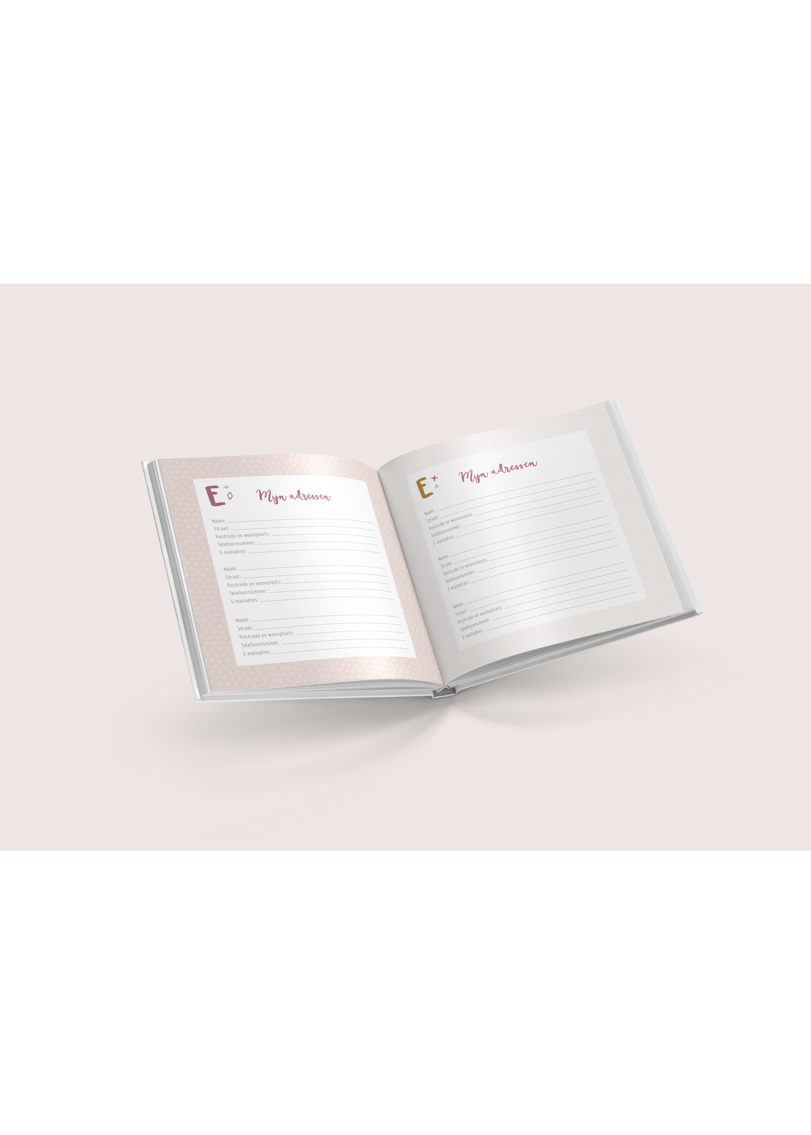 Maan Amsterdam Mijn adressen- & wachtwoordenboek - groen - Universe collectie