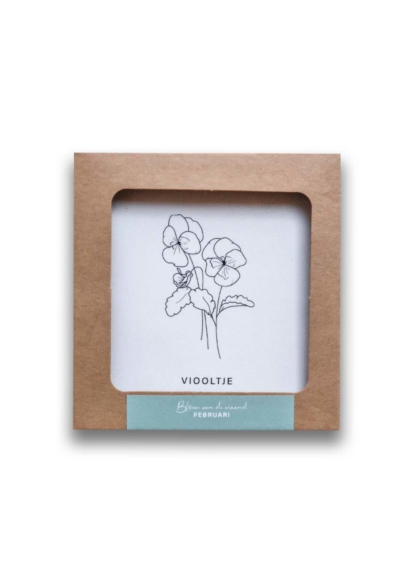 Maan Amsterdam Tegeltje geboortebloem - Februari - Viooltje