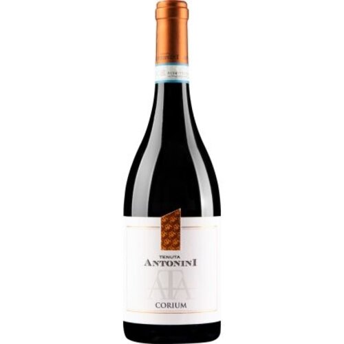 Tenuta Antonini Tenuta Antonini Corium Montepulciano d'Abruzzo DOC