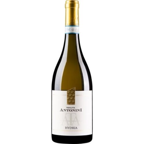 Tenuta Antonini Tenuta Antonini Hydria Pecorino d'Abruzzo DOC