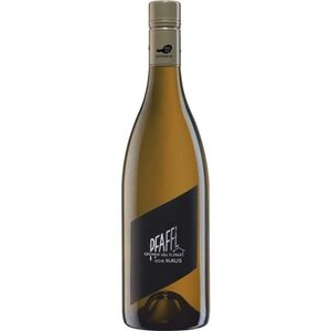 Weingut Pfaffl Pfaffl Vom Haus Grüner Veltliner