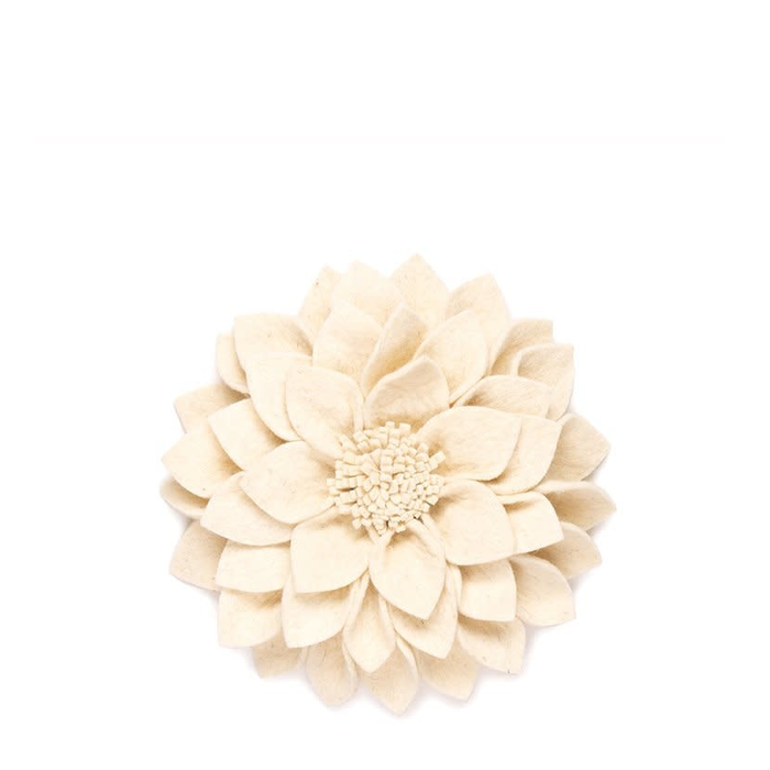 Bloem Kuba Creme