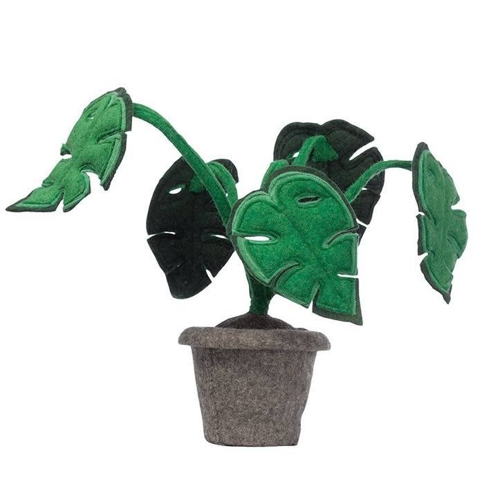 Monstera Decoratie Plant