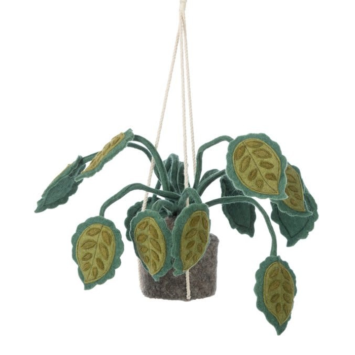 Big Leaves hangplant