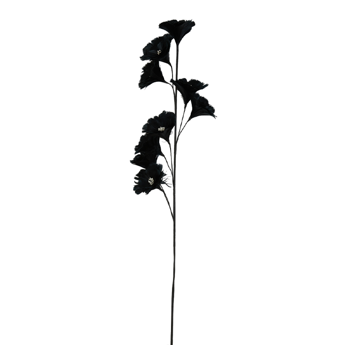 Flower Zwart