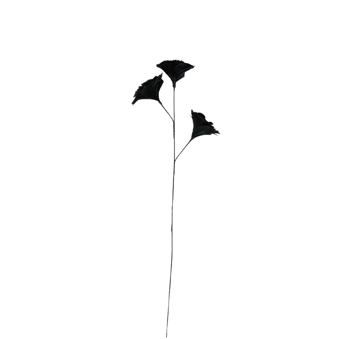 Flower Zwart