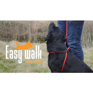 Easy Walk Easy Walk Mini Handmodel Rood