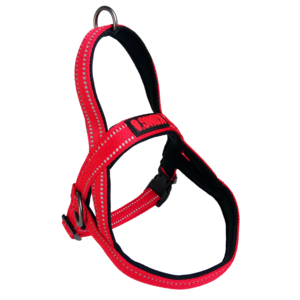 KONG KONG Norwegian harness S Red