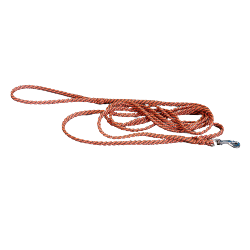 Seasons Hondenriem beige/oranje 2 meter met stalen musketonhaak