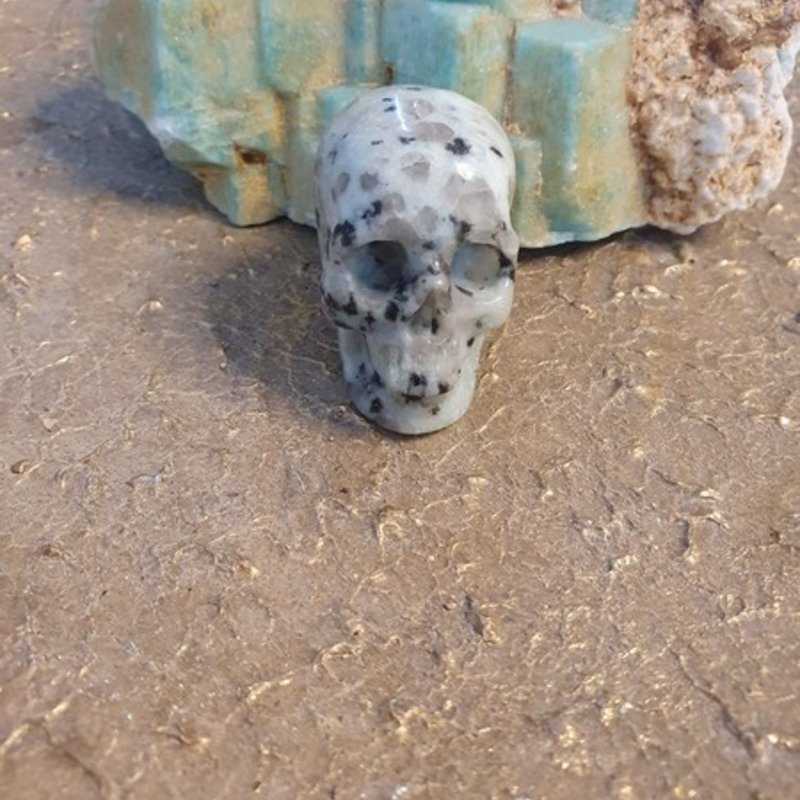 Crystal Skull Gena - Lotus Jasper