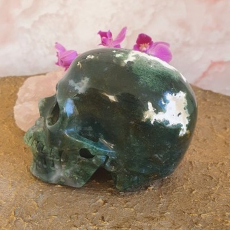 Crystal Skull Priceless - Moss Agate