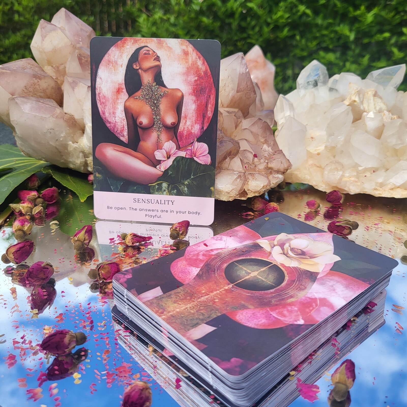 The Pussy Oracle