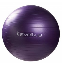 Anti-burst ball Ø 75 cm - Violet