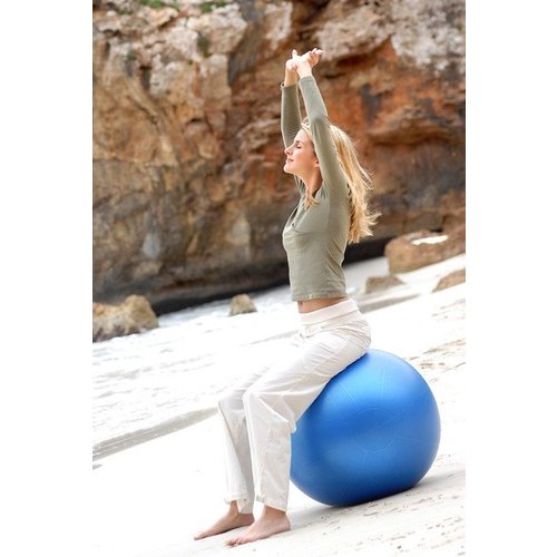 sissel Sissel exercice bal 75 cm sissel Sissel exercice bal 75 cm