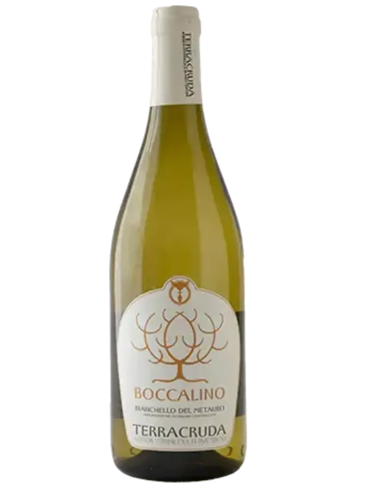 Terracruda Boccalino 2023