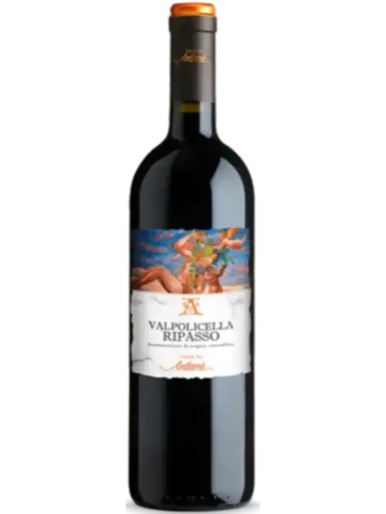 Ville di Antanè Valpolicella Ripasso 2021