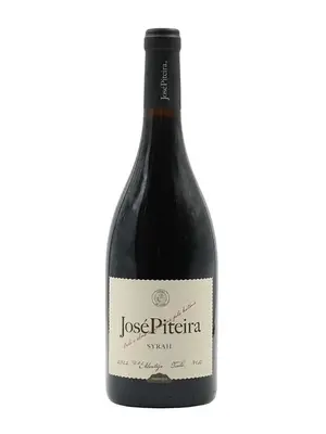 José Piteira Tinto 2022