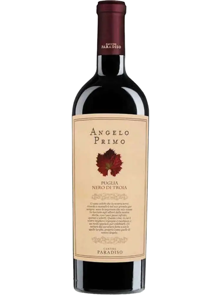 Angelo Primo Nero di Troia 2022