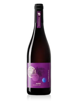 Terre di Rai Merlot 2024