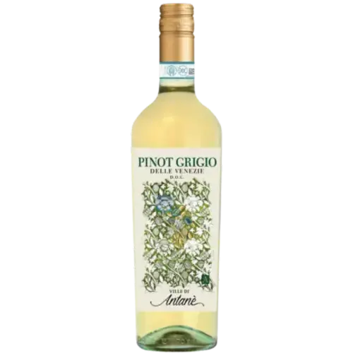 Ville di Antanè Pinot Grigio delle Venezie 2023