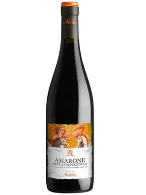 Ville di Antanè Amarone della Valpolicella 2019