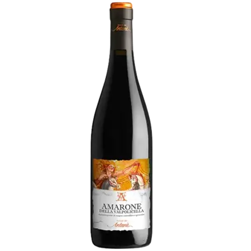 Ville di Antanè Amarone della Valpolicella 2019
