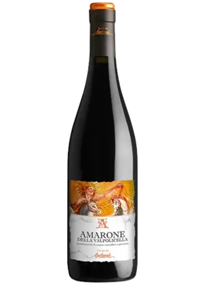 Ville di Antanè Amarone della Valpolicella 2019