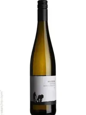 Weingut Plüger Buntsandstein Riesling Trocken