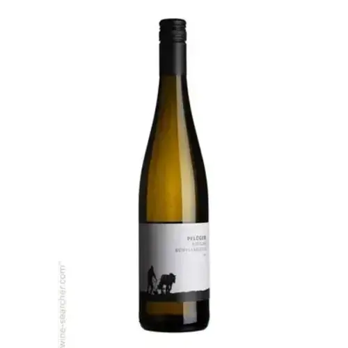 Weingut Plüger Buntsandstein Riesling Trocken