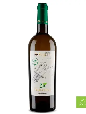 Fattoria Pagano Falanghina Biologica