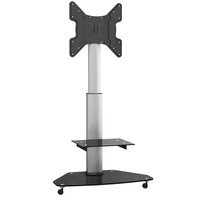 TV Standaard - HP1C