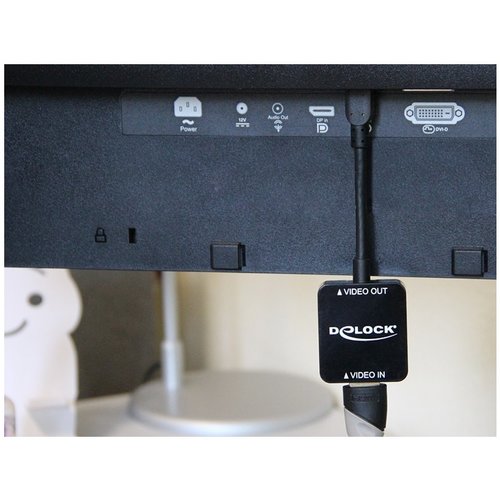 DeLock HDMI female - DisplayPort 1.2 male adapter DeLock HDMI female - DisplayPort 1.2 male adapter