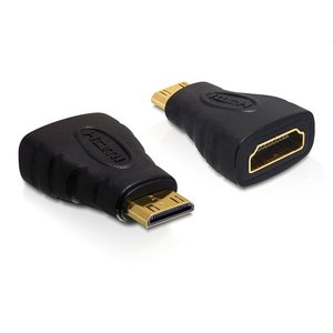 DeLock HDMI C male - HDMI A female Adapter