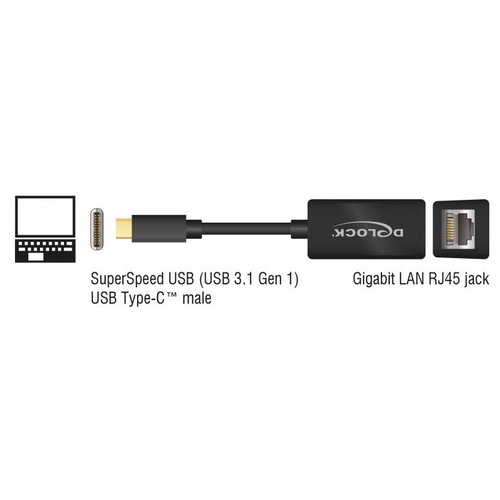 DeLock USB-C 0 Gigabit Lan Adapter