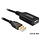 DeLock USB 2.0 Actieve verlengkabel-20m