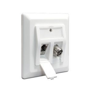 DeLock Keystone wand frame (wall outlet)