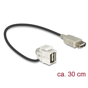 DeLock Keystone USB 2.0 A Female - USB 2.0 A female 110° (30 cm)