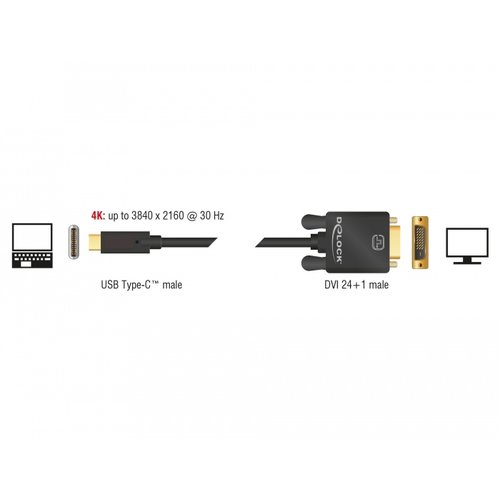 DeLock USB Type-C™ male - DVI-D 24+1 male kabel (DP Alt Mode) 4K @30 Hz - 1.0 meter