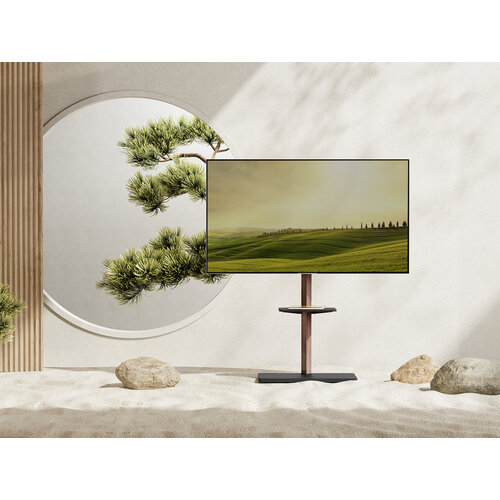 MyWall TV Vloerstandaard HP 119 L