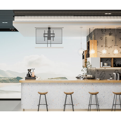 MyWall TV Lift een kast op vloer of aan plafond HP 66-1 L