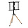 Gembird Tripod TV Standaard TVS-75ST-01