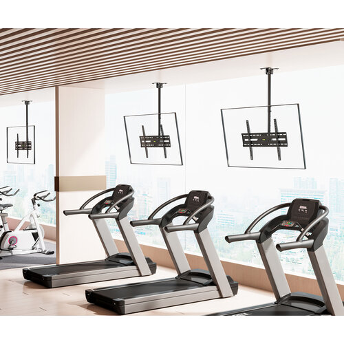 MyWall TV Plafondbeugel HD 10 L