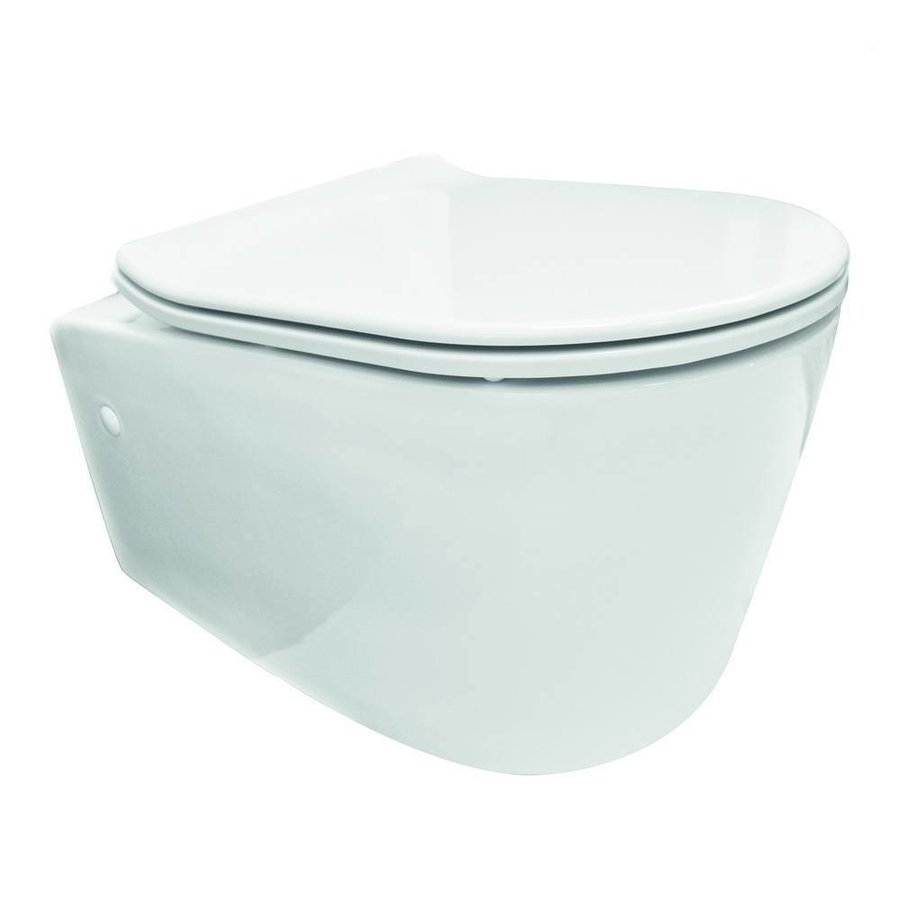 Wandcloset Rimless Flow Met Flatline Zitting Wit