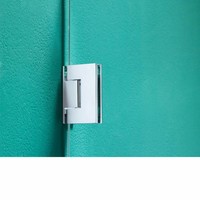 Nisdeur 'I Am' 2 Pendeldeuren 100X200 Cm Rvs Helder Antikalk Glas