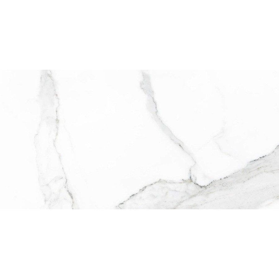 Vloertegel Statuario glans 30x60 rett (prijs per m2)