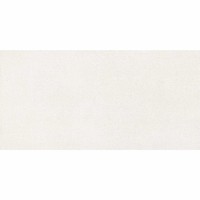 Vloertegel Icon Bone 60X120 (prijs per m2)