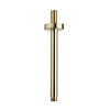 Wiesbaden Luxe Douche-Arm Wiesbaden Rond Plafondbevestiging 20 cm Geborsteld Messing