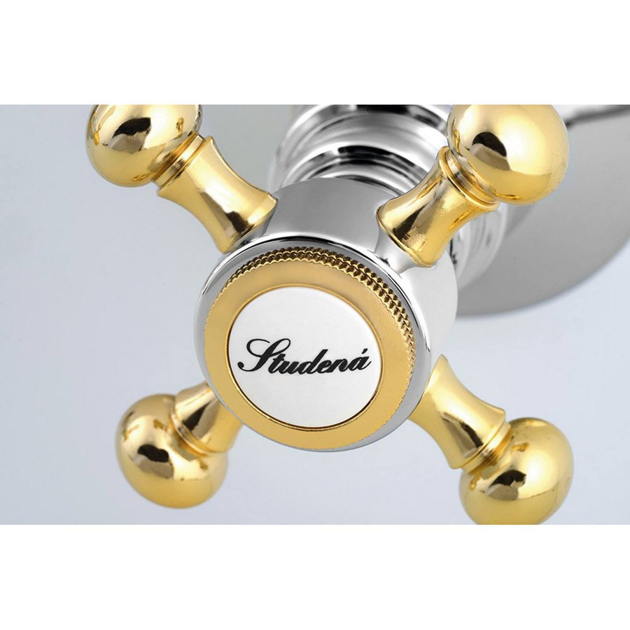 Douchekraan Inbouw Sapho Antea Mengkraan Afbouwdeel 2-weg Chroom / Goud