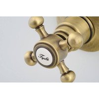 Douchekraan Inbouw Sapho Antea Mengkraan Afbouwdeel 2-weg Brons