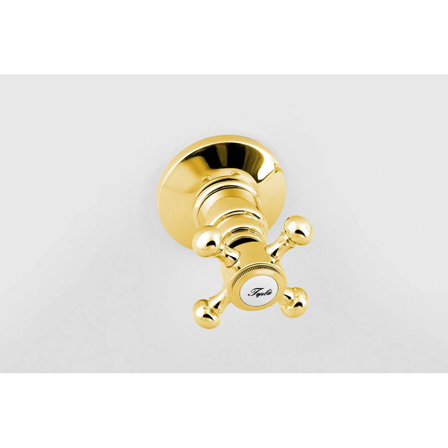 Douchekraan Inbouw Sapho Antea Mengkraan Afbouwdeel 2-weg Goud